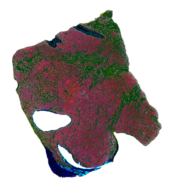 Region