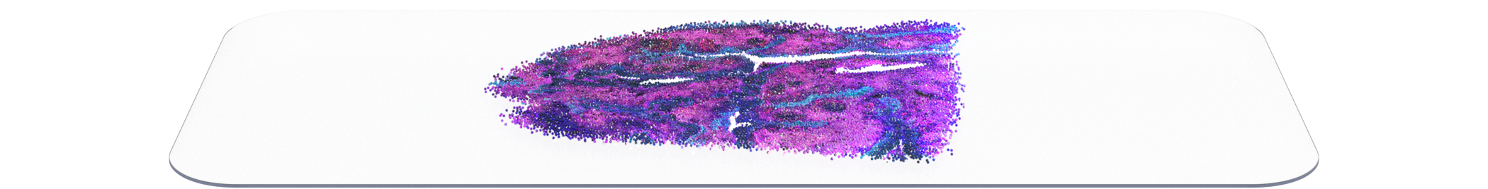 Whole slide imaging