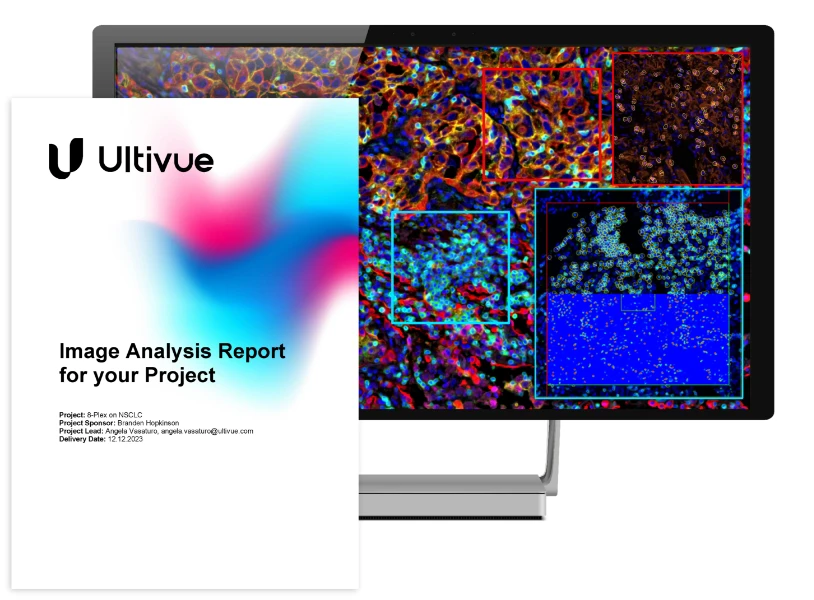Image Analysis Results]